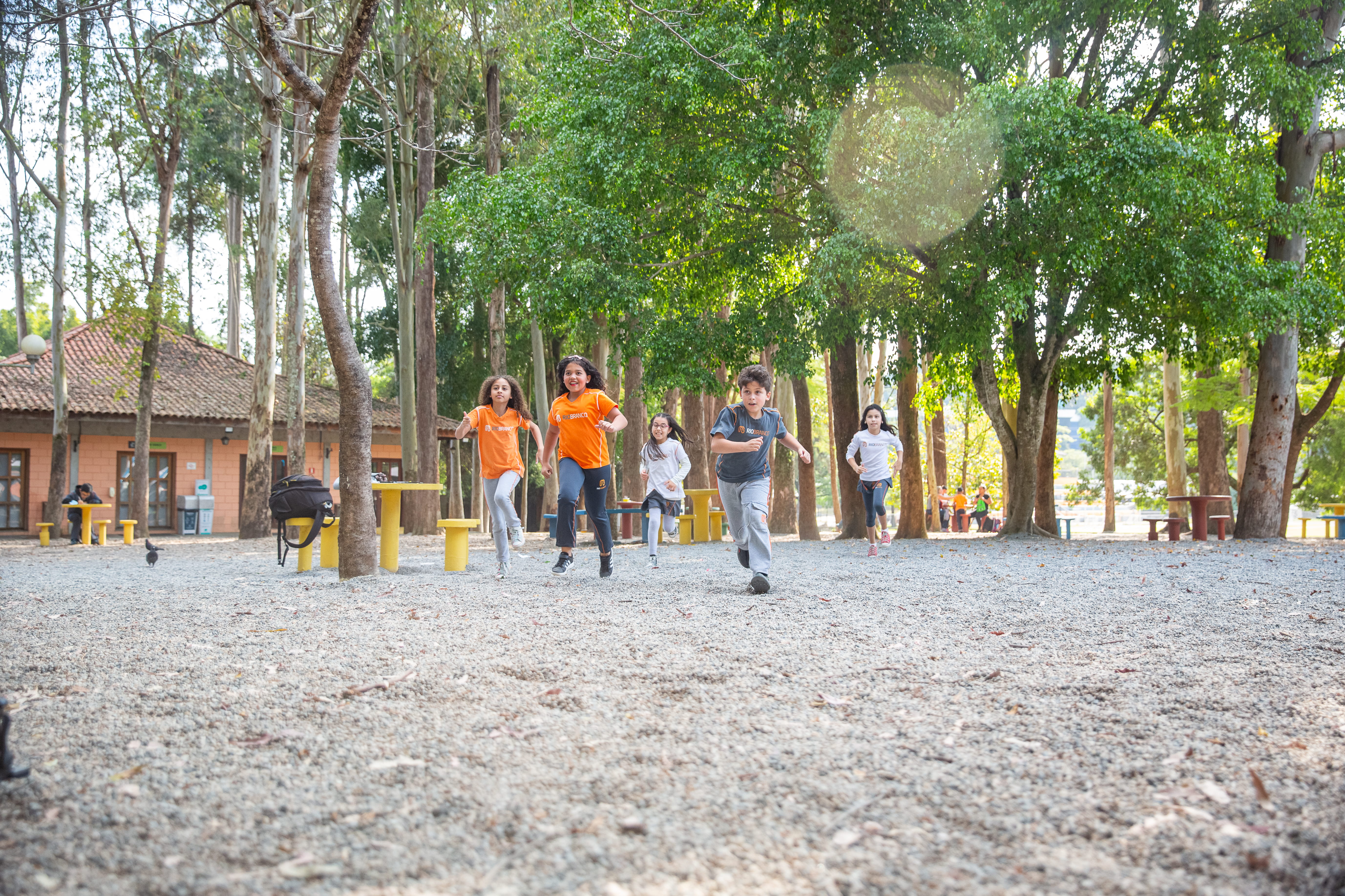 Unidade Granja Vianna: crianças brincando no bosque